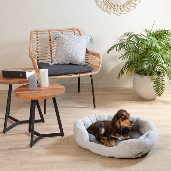 Siva postelja za pse 45x60 cm – Love Story-image-3