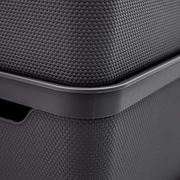 Plastična škatla za shranjevanje s pokrovom Deco - Rotho-image-3