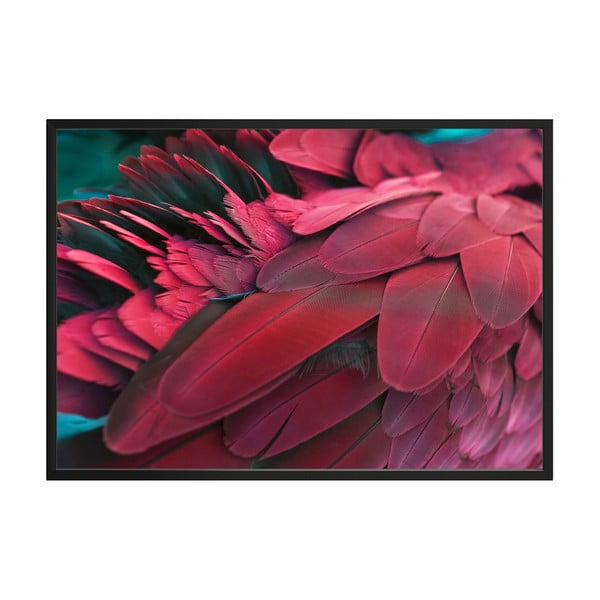 Plakat DecoKing Feathers Red, 100 x 70 cm