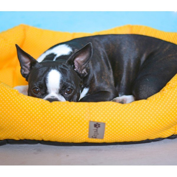 Rumena bombažna postelja 75x60 cm Sunny - Petsy-image-1