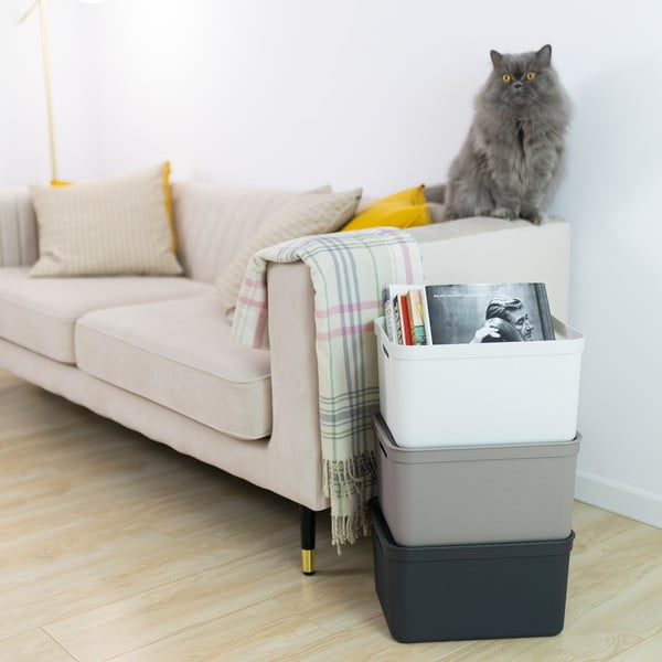 Plastična škatla za shranjevanje s pokrovom Deco - Rotho-image-1