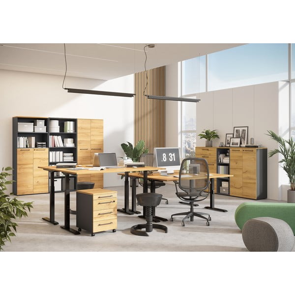 Pisalna miza z nastavljivo višino/električna dvižna z mizno ploščo v hrastovem dekorju 80x160 cm Agenda – Germania-image-4