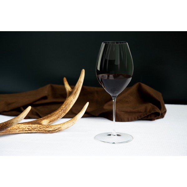 Kozarci za vino v kompletu 2 ks 631 ml Performance Syrah – Riedel-image-1