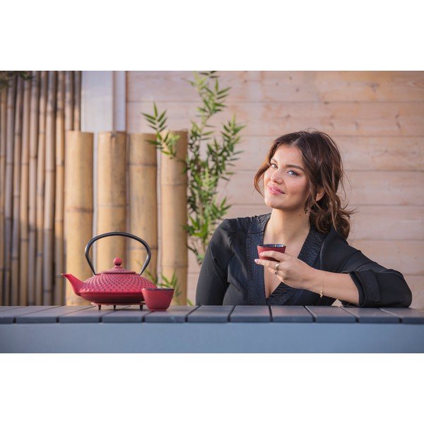 Rdeč litoželezni čajnik s cedilom Bredemeijer Xilin, 1,25 l-image-4