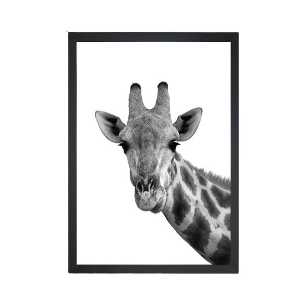 Plakat Tablo Center Giraffe Portrait, 24 x 29 cm