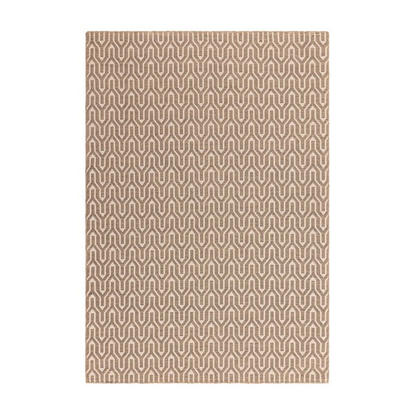 Bež preproga 160x230 cm Global – Asiatic Carpets