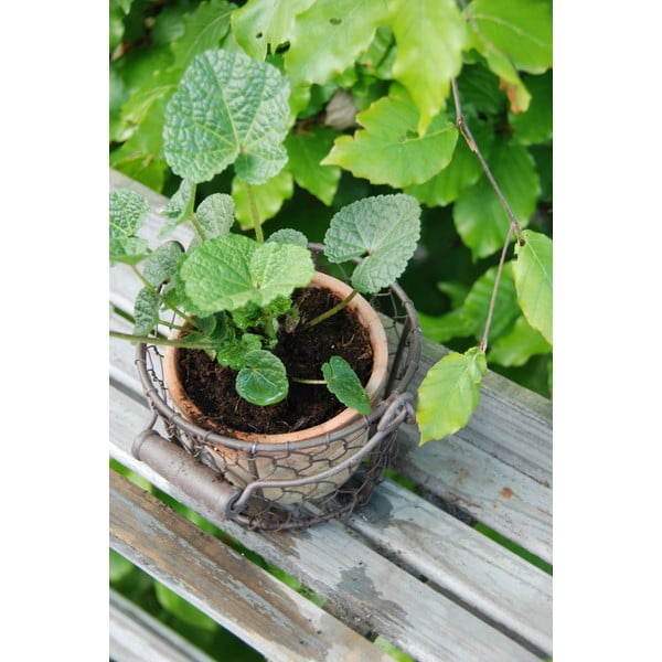 Ročno poslikan cvetlični lonec iz terakote ø 12 cm – Esschert Design-image-2