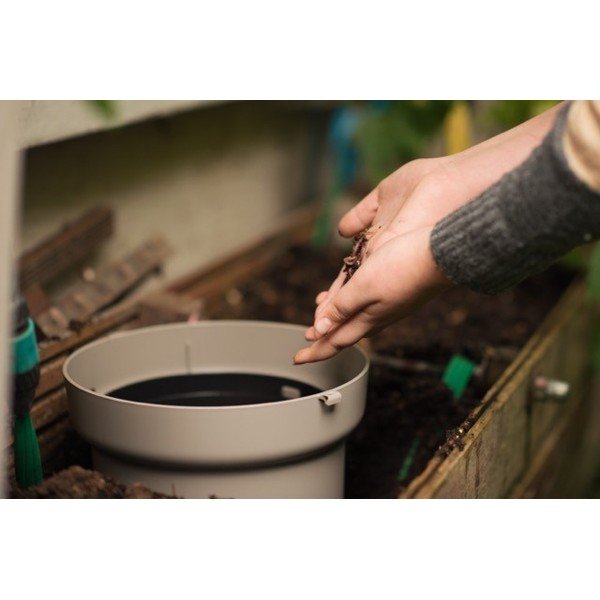 Sivorjav kompostnik – Plastia-image-3