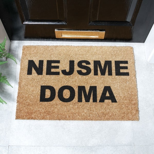 Predpražnik iz kokosovih vlaken 40x60 cm Nejsme Doma – Artsy Doormats-image-2