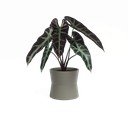 Keramičen cvetlični lonec ø 20 cm Diana – Artevasi