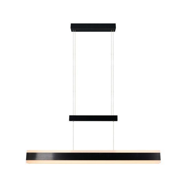 Mat črna LED viseča svetilka s kovinskim senčilom Arcola – Trio