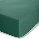 Temno zelena napenjalna rjuha iz perkala 90x190 cm Easy Iron Percale – Catherine Lansfield