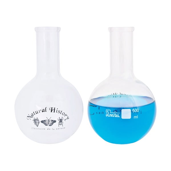 Steklena vaza (višina 23 cm) Natural History – Esschert Design-image-2