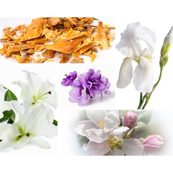 Dišeča sveča iz sojinega voska čas gorenja 60 h Muscs Poudres – Privé Home-image-2