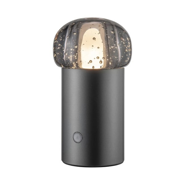 LED prenosljiva zatemnitvena zunanja svetilka na USB ø 10 cm Iris – Blomus