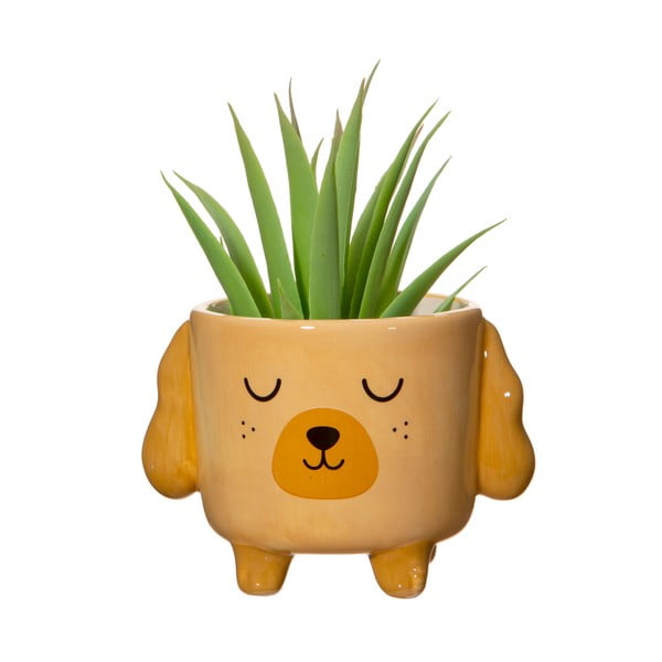 Kamnit okrasni cvetlični lonec ø 7,5 cm Cockapoo – Sass & Belle-image-1