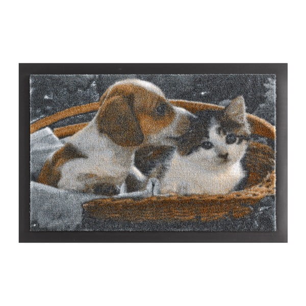 Predpražnik Hanse Home Animals Dog in Cat, 40 x 60 cm