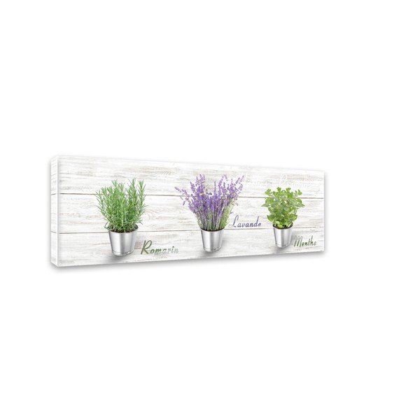 Slika Styler Platno Shabby Herbs, 27 x 75 cm-image-2