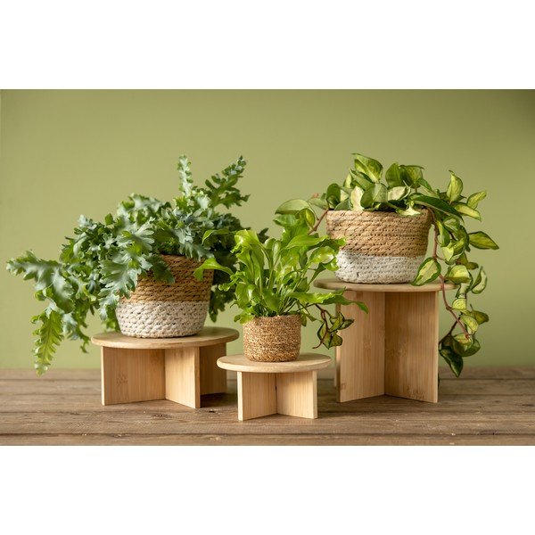 Stojalo za cvetlične lonce iz bambusa ø 25 cm (višina 19,5 cm) – Esschert Design-image-3