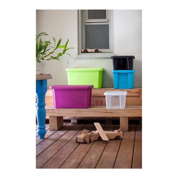 Modra škatla za shranjevanje s pokrovom Curver Essentials, 45 l-image-2