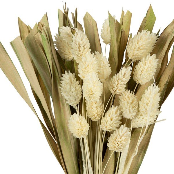 Umetno cvetje Phalaris - Sema-image-1