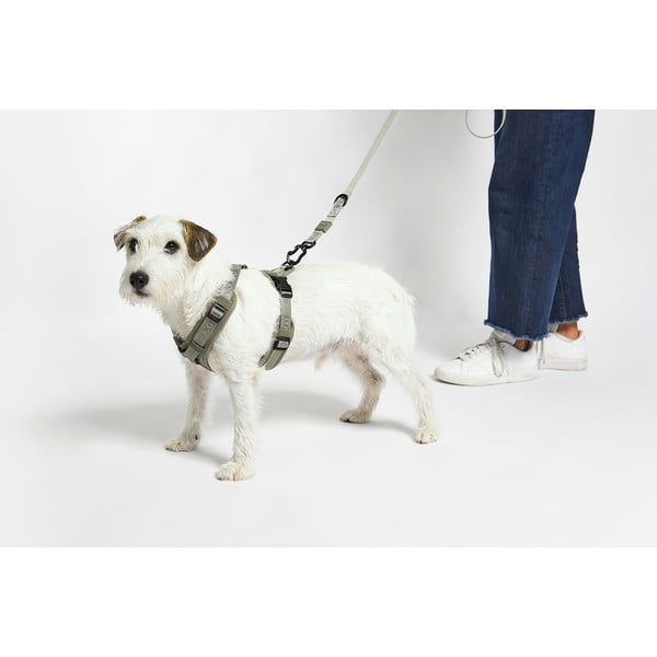 Zelena oprsnica velikosti S dolžina 30 cm Modena Grolive S – MiaCara-image-2