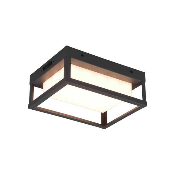 Zunanja stenska svetilka LED (višina 24 cm) Witham - Trio-image-2