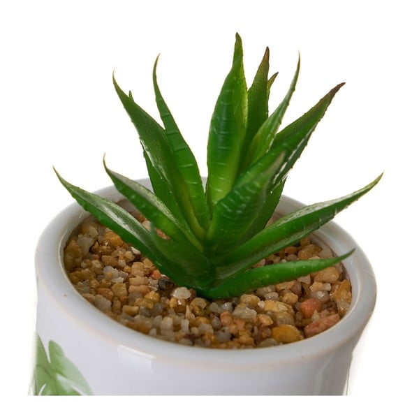 Umetne rastline v kompletu 4 ks Cactus – Casa Selección-image-1