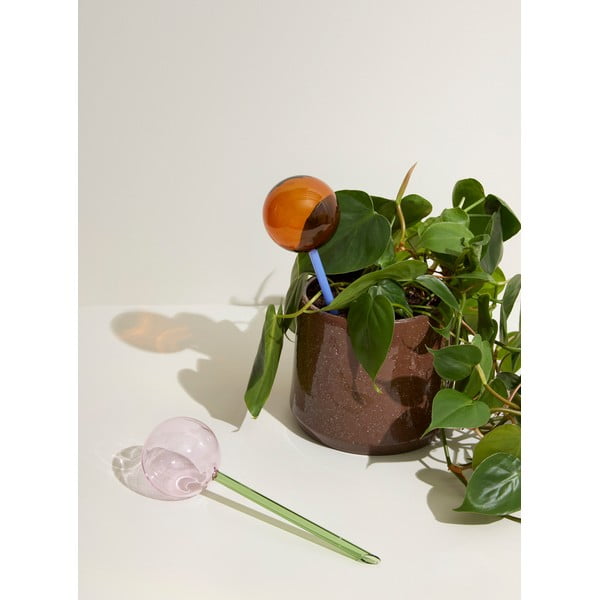 Modro-rjava steklena krogla za zalivanje Flora - Hübsch-image-2