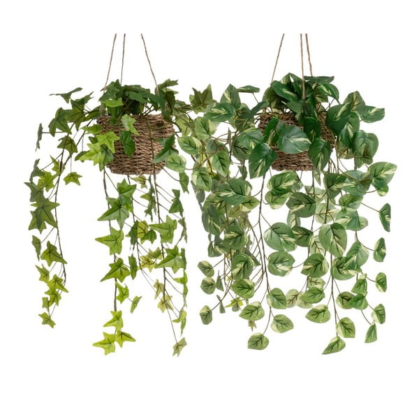 Umetne rastline v kompletu 2 ks (višina 50 cm) – Casa Selección