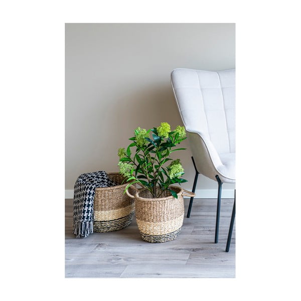 Umetna rastlina Skimmia – House Nordic-image-2