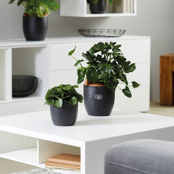 Keramični lonček ø 27 cm Boston Mate - Big pots-image-1