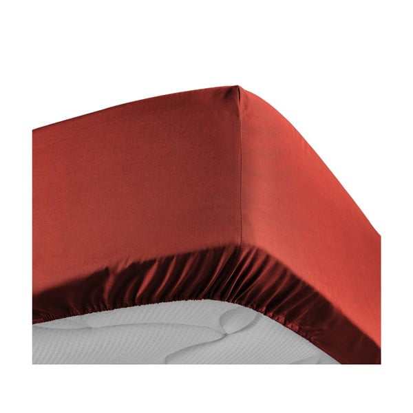 Opečnato oranžna napenjalna rjuha iz bombažnega perkala 180x200 cm Percaline – douceur d'intérieur-image-3