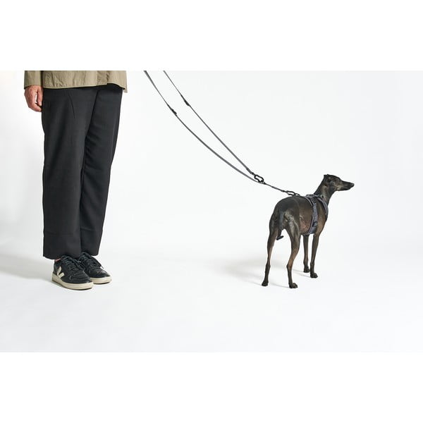 Bež preklopni povodec dolžina 200 cm Modena Greige 20 mm – MiaCara-image-2