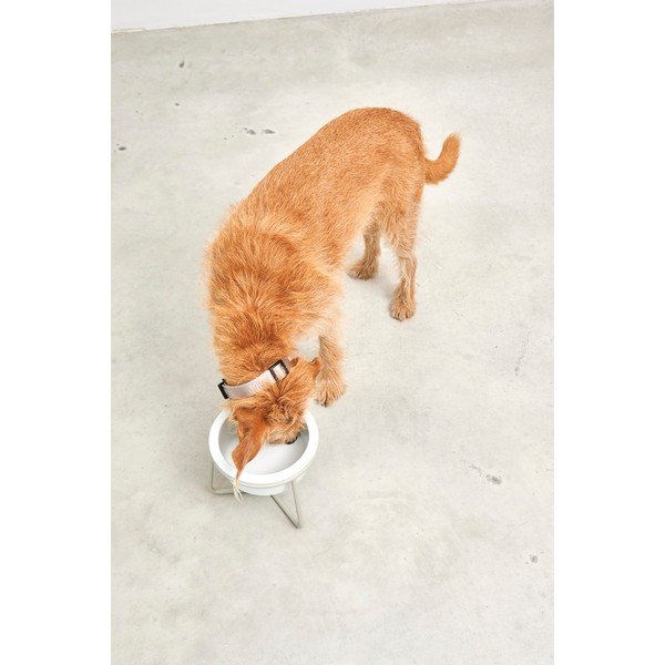 Porcelanasta posoda s podstavkom za pse ø 20 cm Pranzo Greige M – MiaCara-image-4