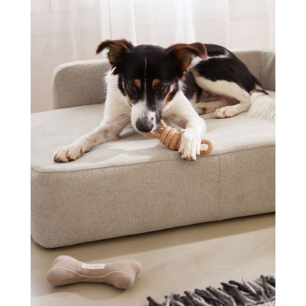 Bež pasja postelja 96x70 cm Bowie - Kave Home-image-2