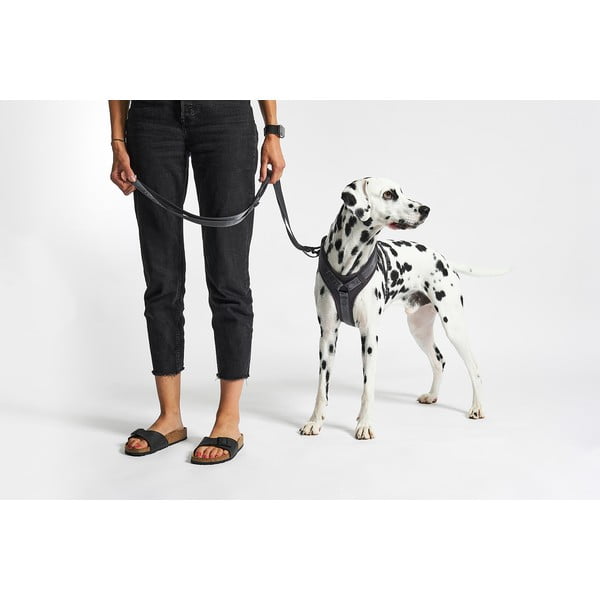 Temno siva oprsnica velikosti L dolžina 42 cm Modena Asphalt L – MiaCara-image-1