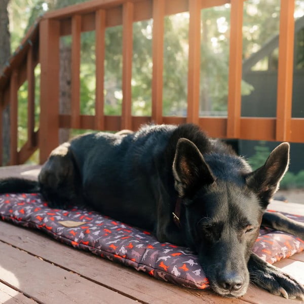 Rjavo potovalno ležišče za pse 50x75 cm Outdoor Chill Pad Mocha M – P.L.A.Y.-image-1