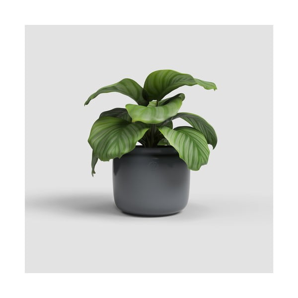 Keramičen ročno poslikan cvetlični lonec ø 20 cm Astrea – Artevasi-image-1