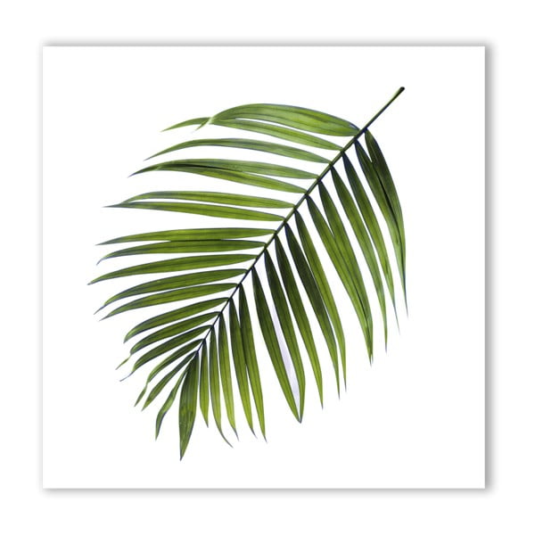 Slika Styler Canvas Greenery Black Palm, 32 x 32 cm