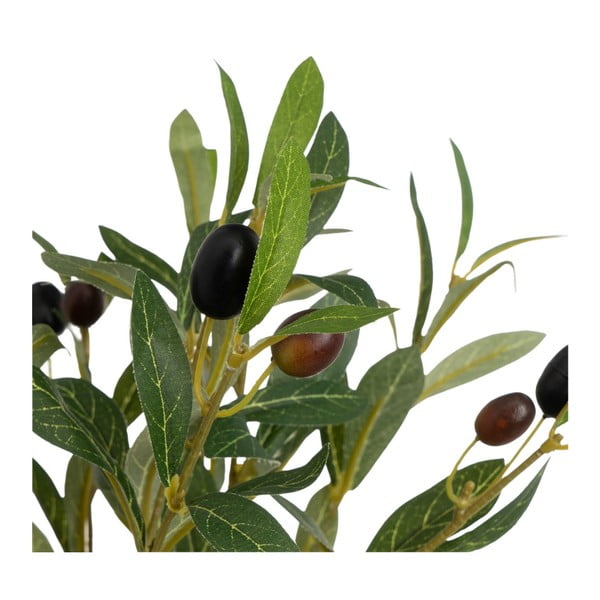 Umetna oljka – Casa Selección-image-2