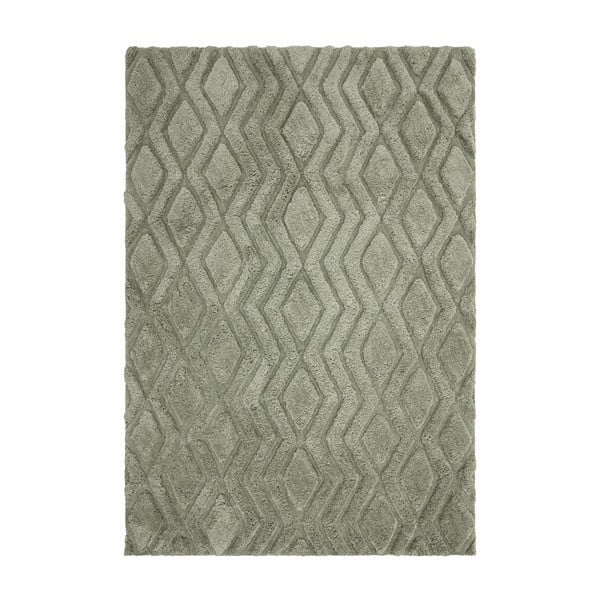 Zelena preproga 290x200 cm Harrison - Asiatic Carpets