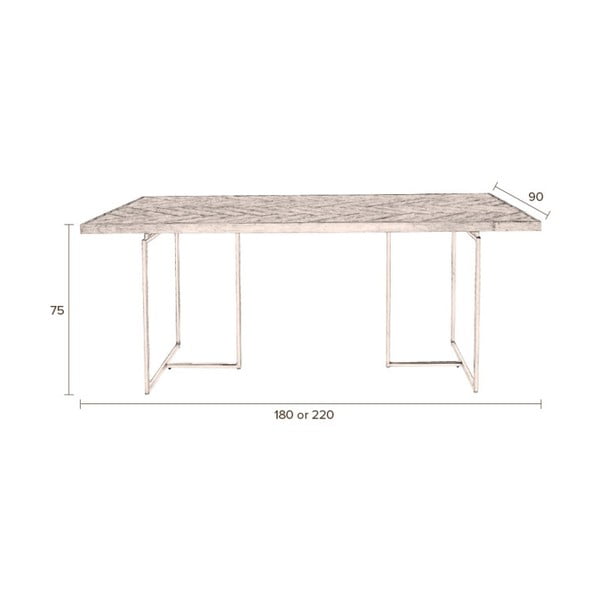 Jedilna miza z jekleno konstrukcijo Dutchbone Class, 220 x 90 cm-image-4
