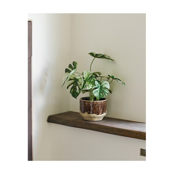 Umetna rastlina (višina 41 cm) Monstera – House Nordic-image-1
