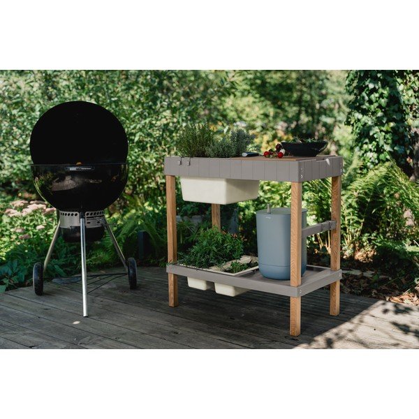 Visoka greda – Plastia-image-1