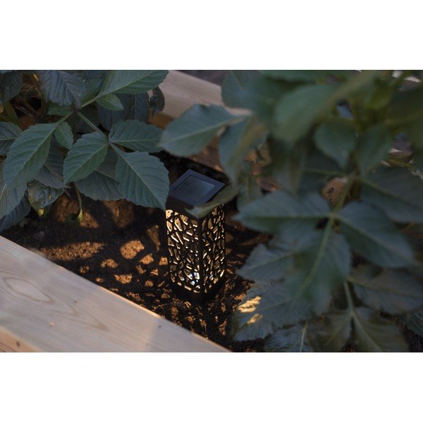 Komplet 3 visečih solarnih LED svetilk Star Trading Izola, višina 11 cm-image-2