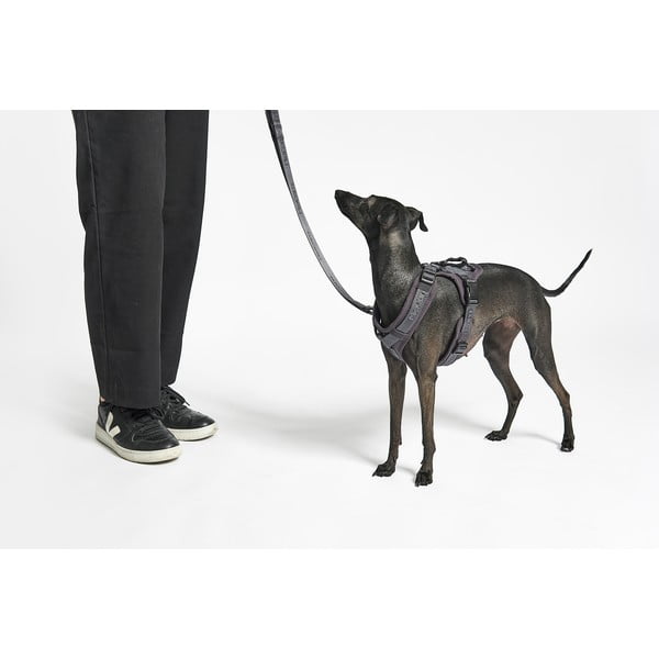 Bež oprsnica velikosti XS dolžina 25 cm Modena Greige XS – MiaCara-image-2