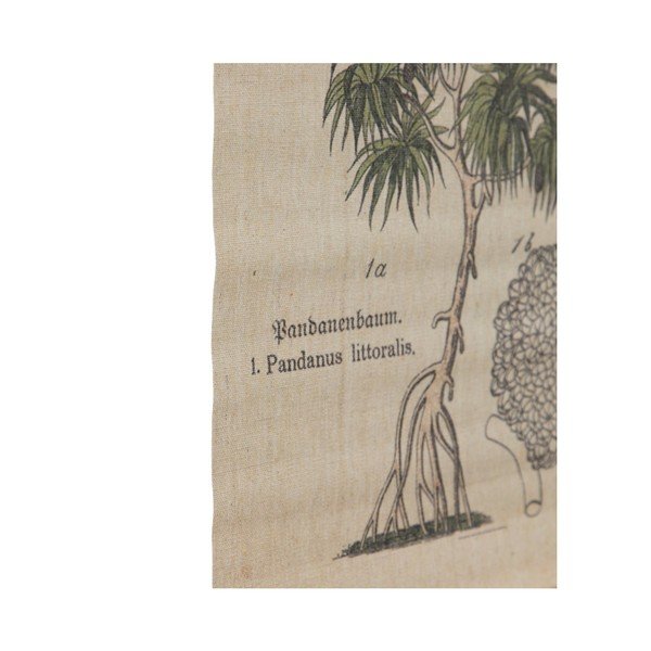 Tapiserija 50x70 cm Palm – Ixia-image-1