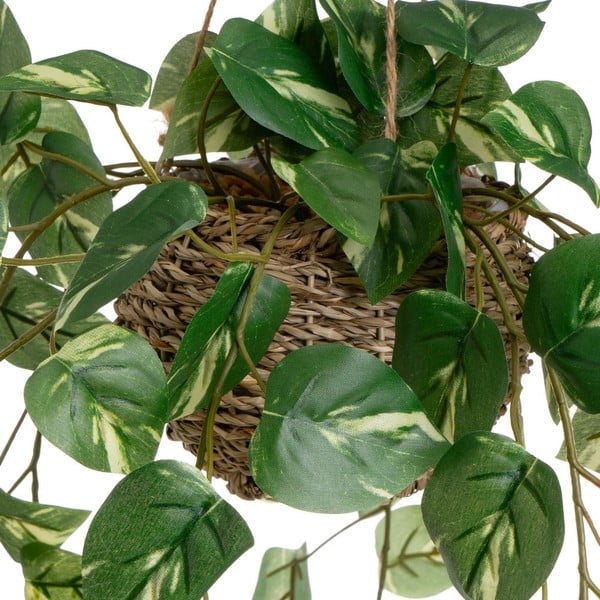 Umetne rastline v kompletu 2 ks (višina 50 cm) – Casa Selección-image-1