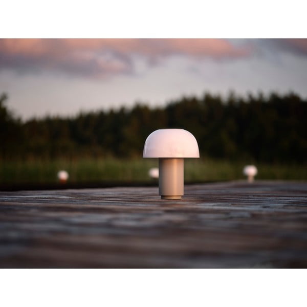 Siva aluminijasta LED zatemnitvena namizna svetilka (višina 22 cm) Harvest – Zone-image-4